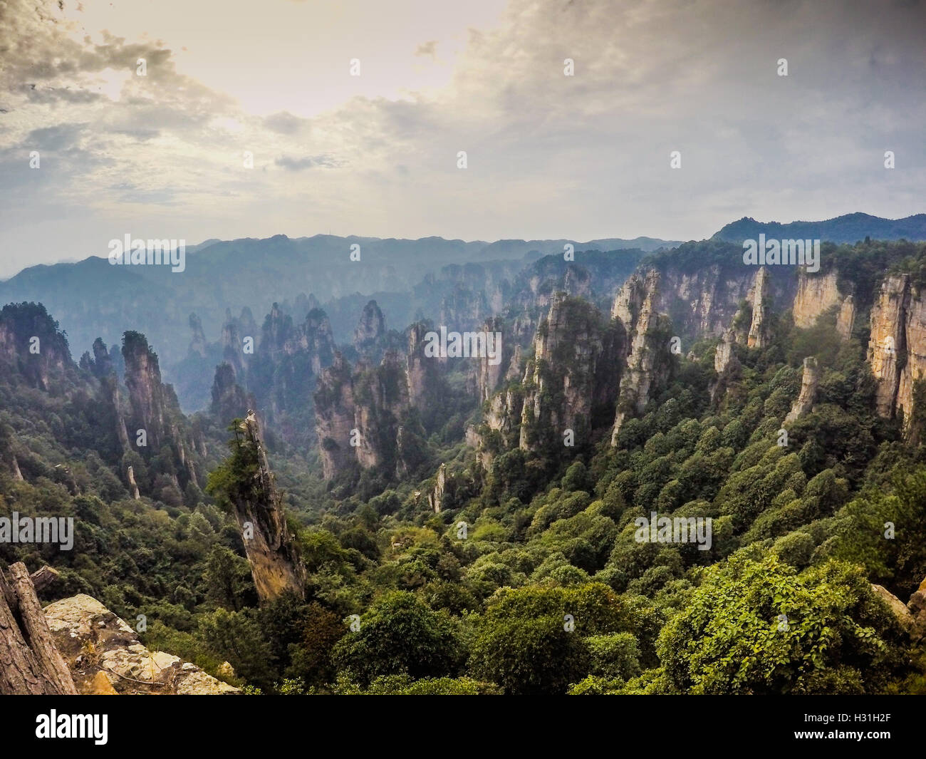 Magnifiques montagnes Zhangjiajie Banque D'Images