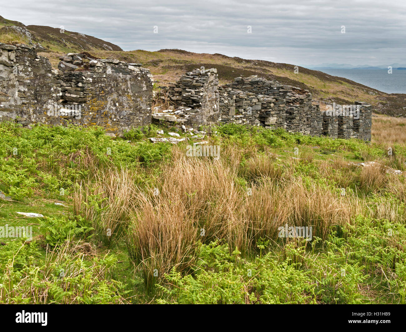 Rangée de maisons en ruine abandonnée en règlement de Riasg Buidhe, à l'île de Colonsay, Ecosse, Royaume-Uni. Banque D'Images