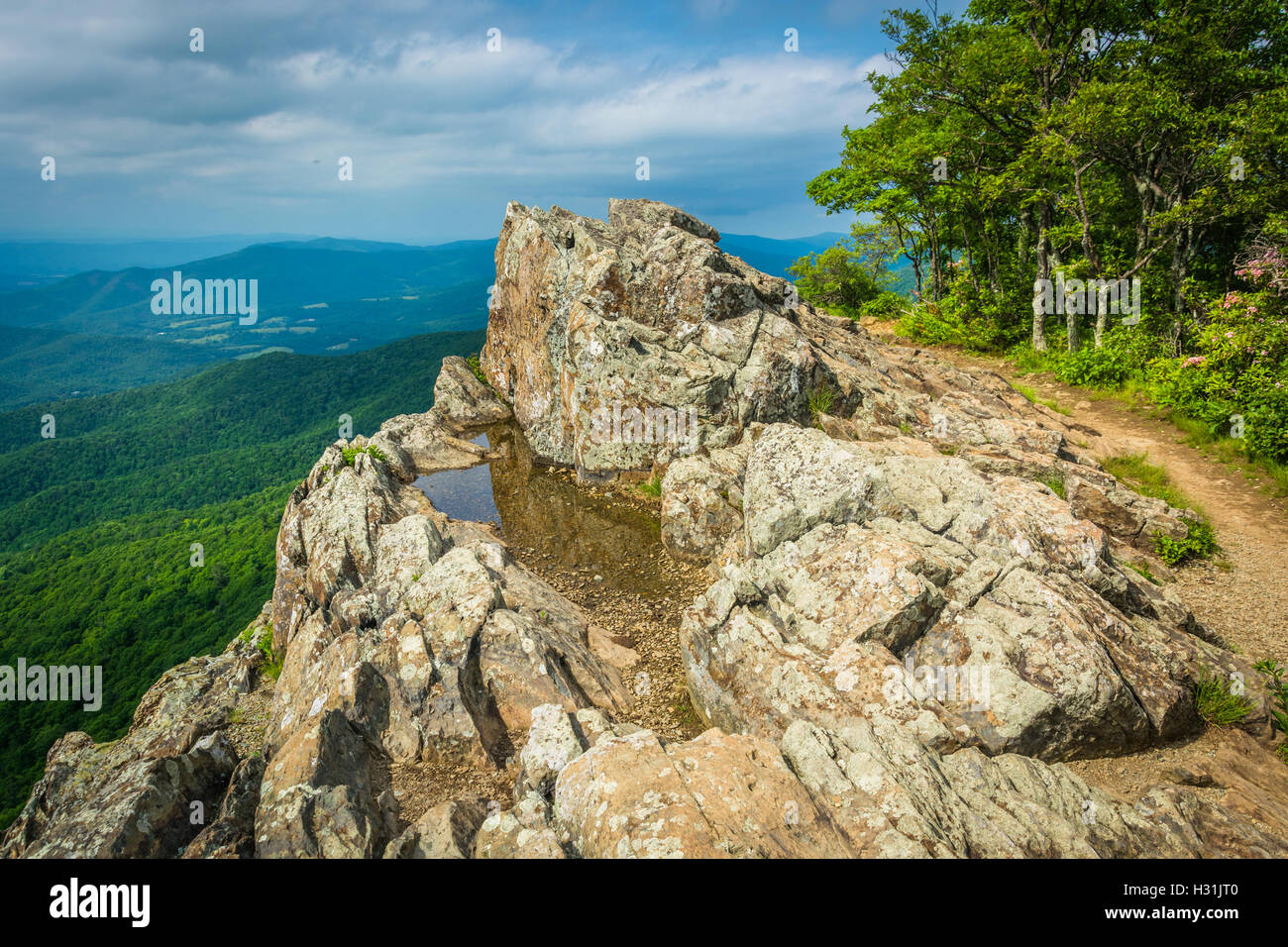 Flaque d'eau sur les falaises de l'homme Little Stony et vue sur les montagnes Blue Ridge dans le Parc National Shenandoah, en Virginie. Banque D'Images