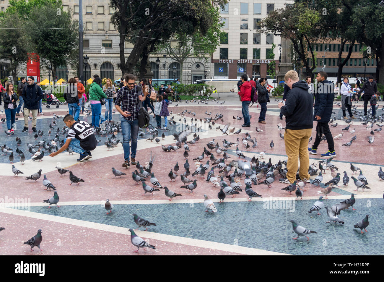 Jeune homme rue d'alimentation les pigeons (Columba livia domestica) sur la Plaça de Catalunya, Barcelone, Catalogne, Espagne. Banque D'Images