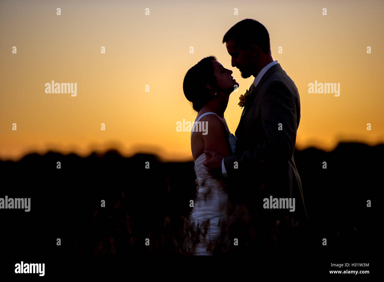 Silhouette partielle de Mike et Alison Amoss dans un champ de haricots de soja le jour de leur mariage. Banque D'Images