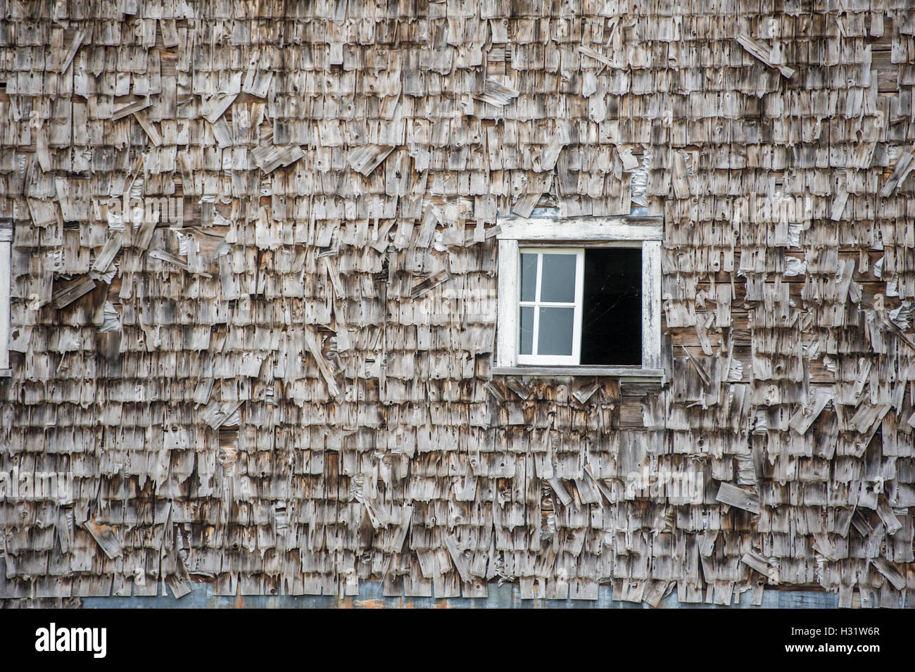 Grange de bardeaux d'évitement, avec une fenêtre sur une ferme à Livermore, Maine. Banque D'Images