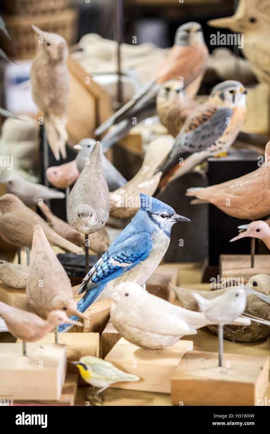 Oiseaux sculptés à la main dans un atelier d'artiste en Pennsylvanie. Banque D'Images