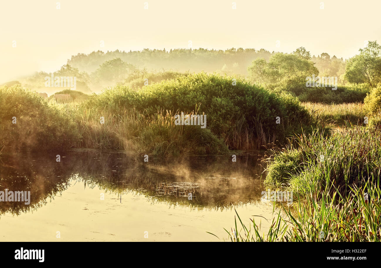 Au-dessus de l'eau vapeur en été heureux matin ensoleillé Banque D'Images