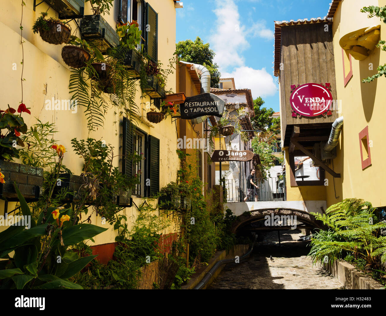 Façades vert au-dessus de la rivière vide Ribeiro da Nora à Funchal sur l'île portugaise de Madère. Banque D'Images