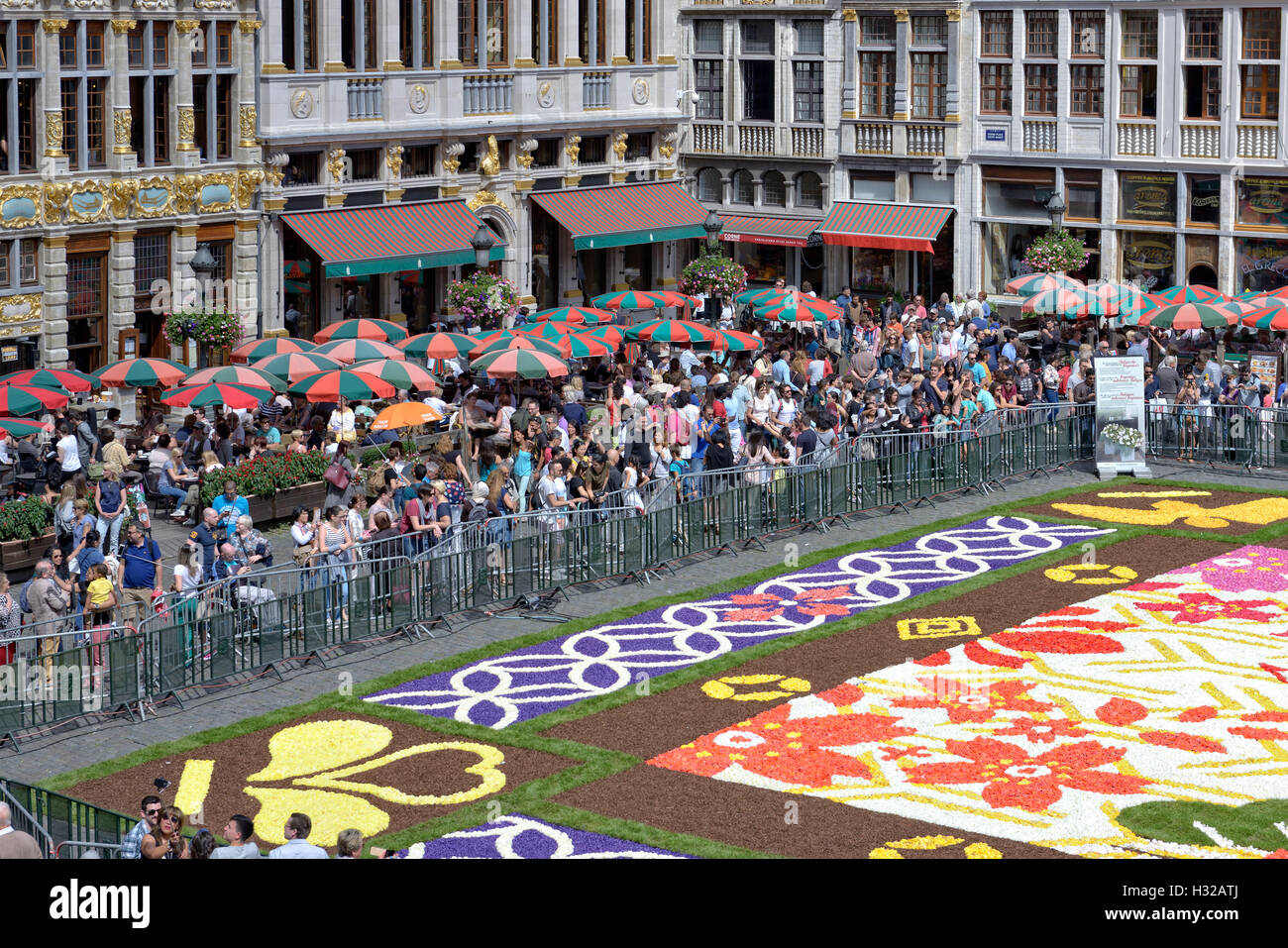 Les gens admirer tapis de fleurs sur la Grand Place à Bruxelles, Belgique le Samedi, 13 août, 2016. Cette fois, le thème c'est japonais Banque D'Images