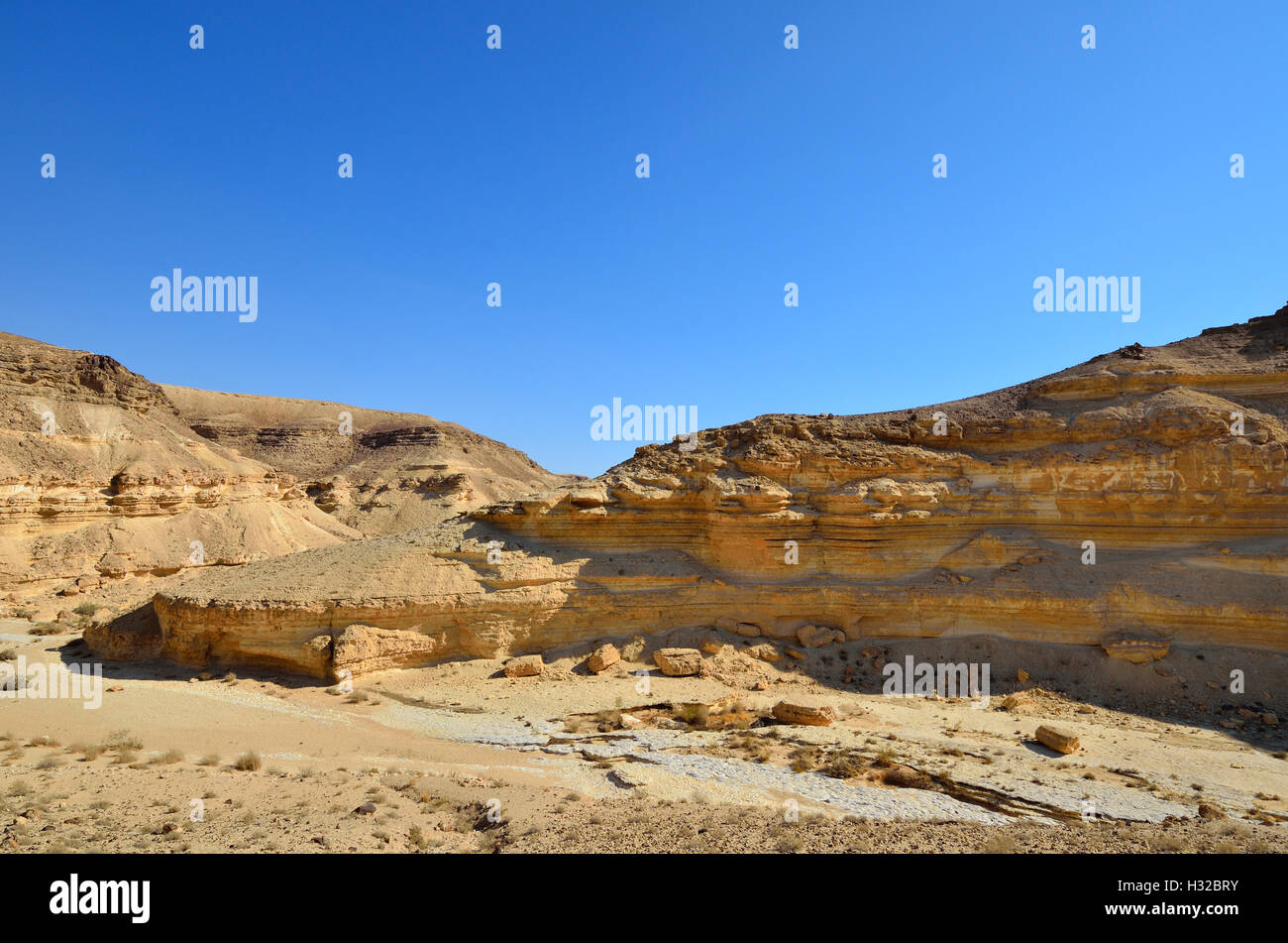 Fragment de l'ancien désert et montagnes. Désert Néguev, Israël. Banque D'Images