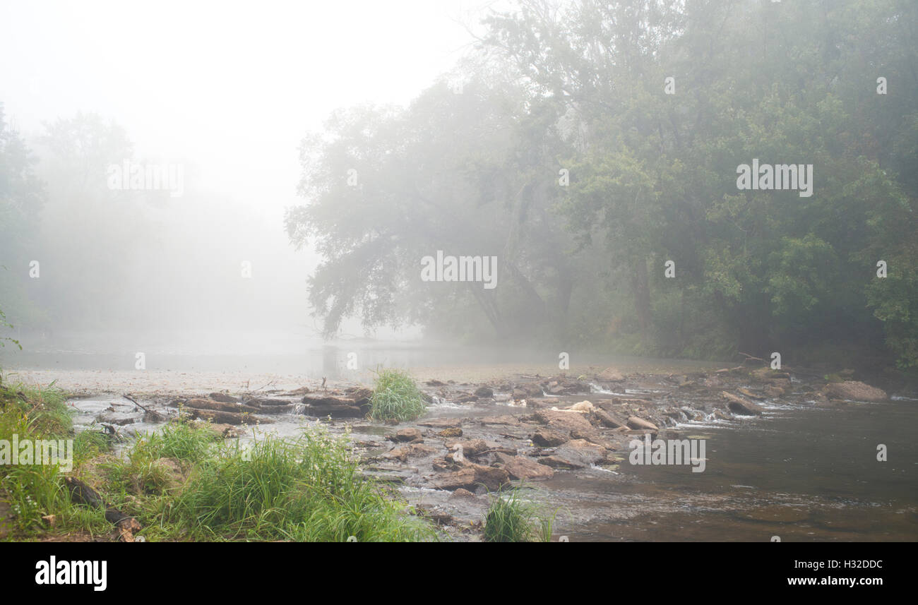 Creek avec barrage naturel dans le brouillard. Banque D'Images