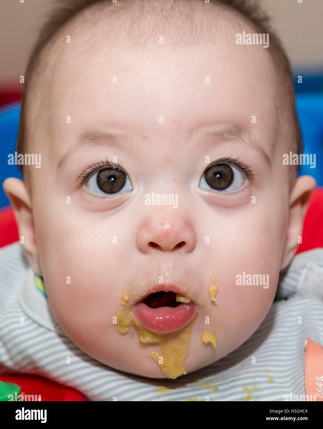 Close up of baby feeding Banque D'Images