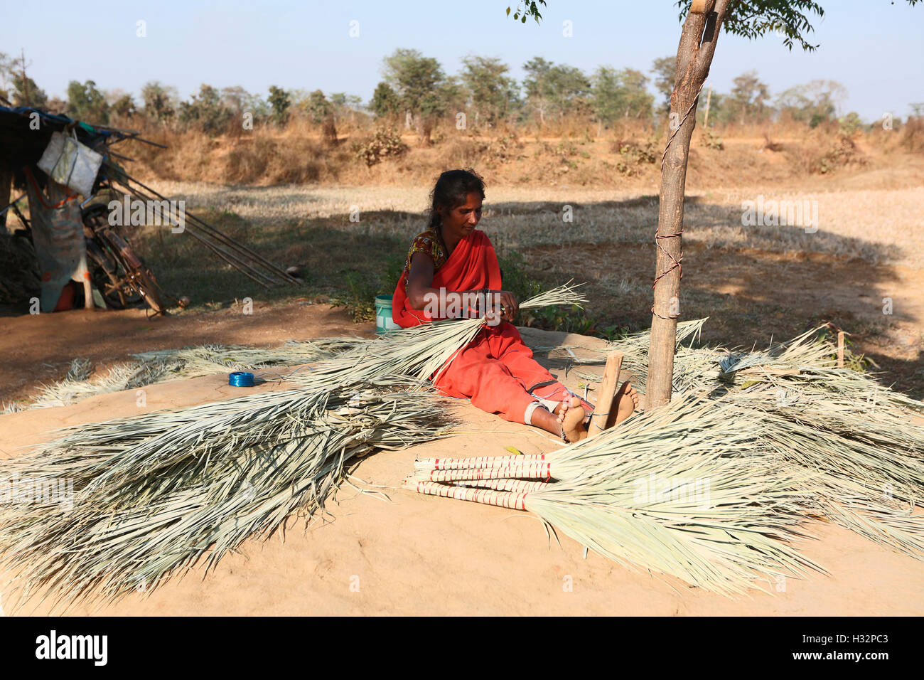 PARDHI, tribal tribu Woman manches près de Rajegaon Village, Taluka, Gondia Gondia District, Maharashtra, Inde Banque D'Images