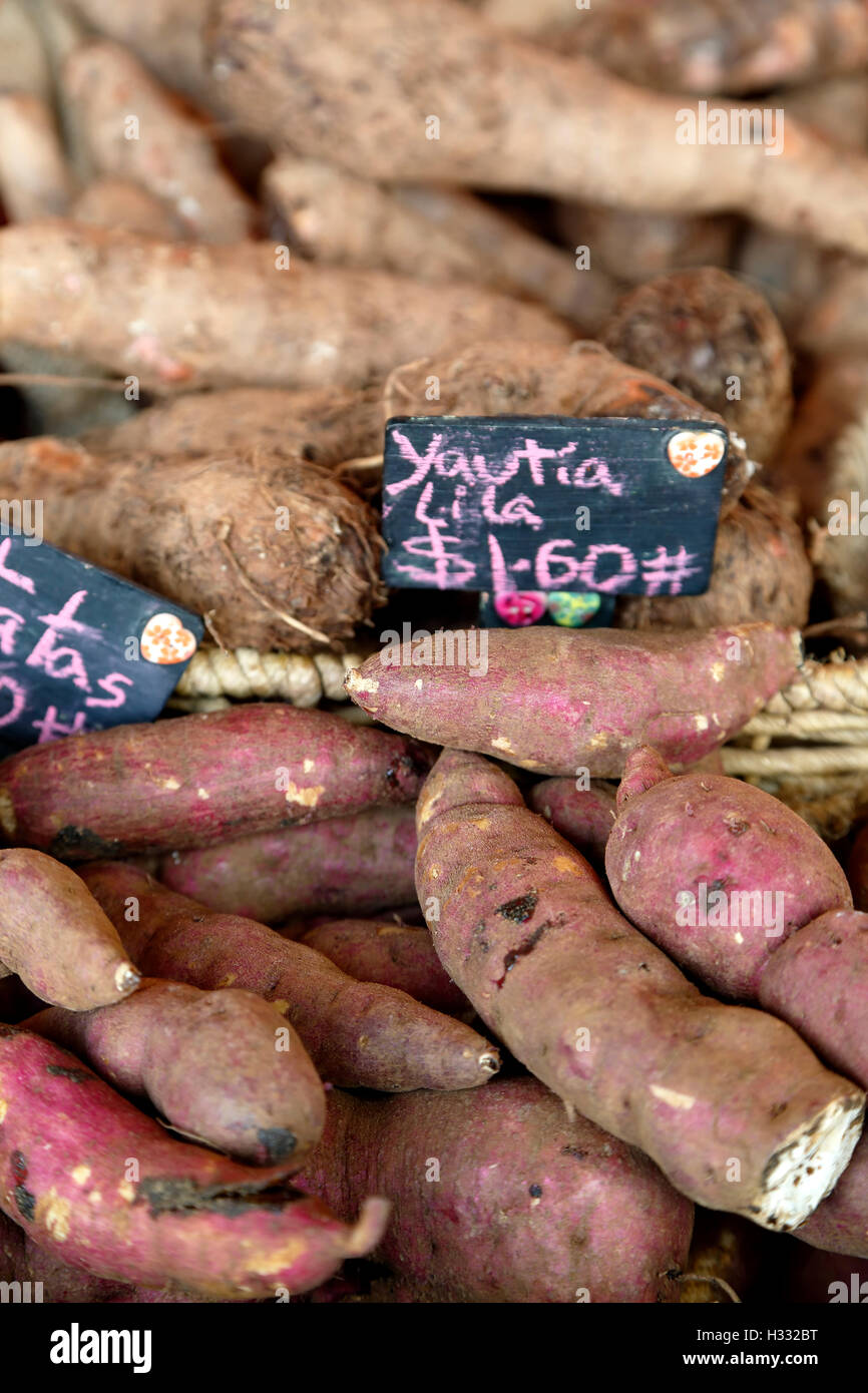 Patates douces et violet 'yautias' (tanniers), Marché des producteurs, Museo de San Juan (San Juan Museum), Old San Juan, Puerto Rico Banque D'Images