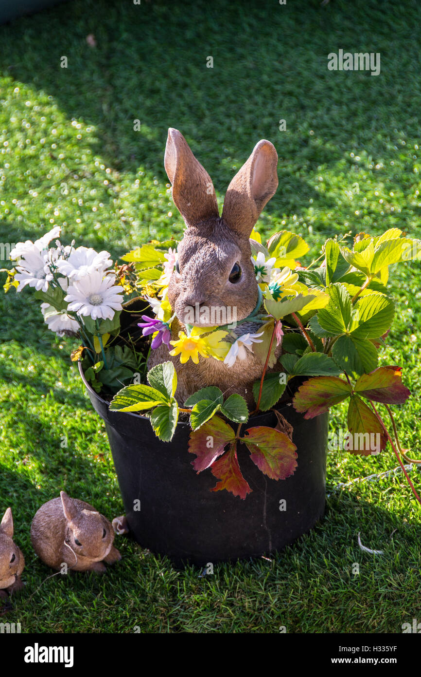 Lapin de Pâques dans un pot de fleurs Banque D'Images