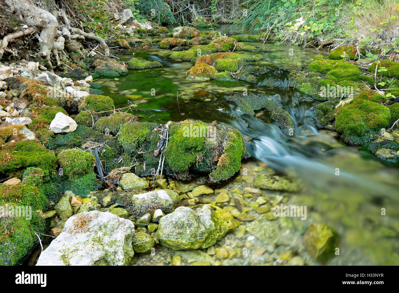 Wood River en été, en passant par le terme munipal de Paterna del Madera, Albacete, Espagne. Capture horizontale avec des tons verts. Banque D'Images