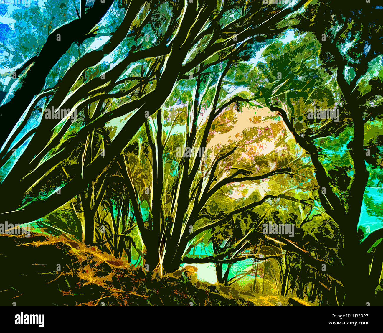 L'ART NUMÉRIQUE : Bois magique Ilsham le long de Marine Drive, Torquay, Devon, Grande Bretagne Banque D'Images