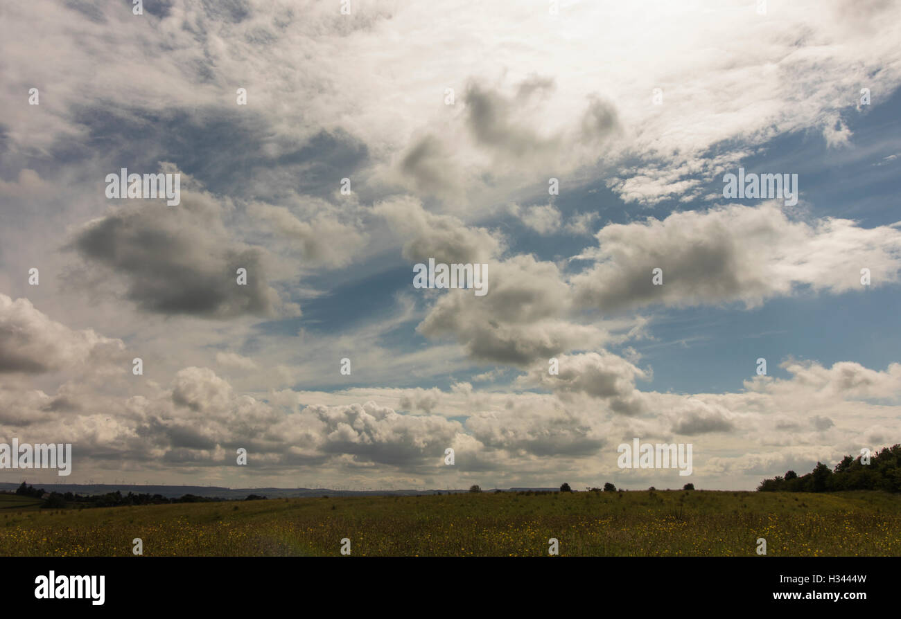 Beaux nuages filandreux, paysage Banque D'Images