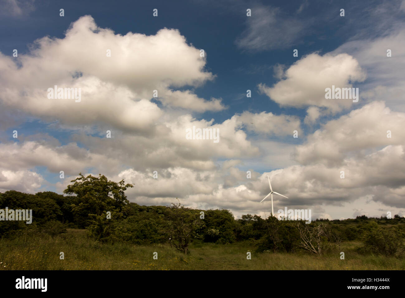 Grand angle, Terrain avec arbres et joli ciel bleu avec des nuages blancs moelleux et un moulin à vent à l'horizon Banque D'Images