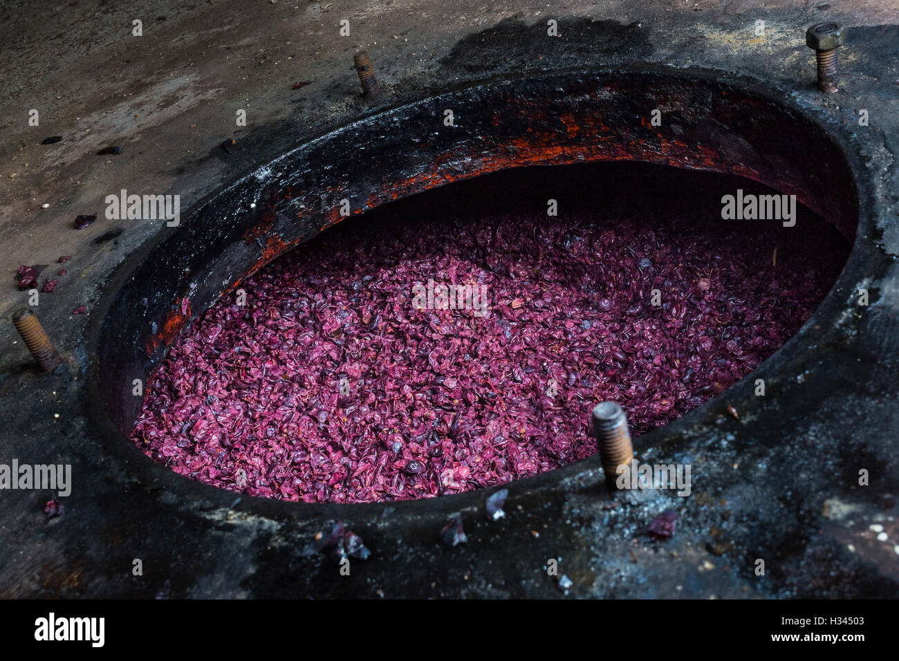 La fermentation des marcs de raisins et ou des marcs de Vino Nobile di Montepulciano Banque D'Images