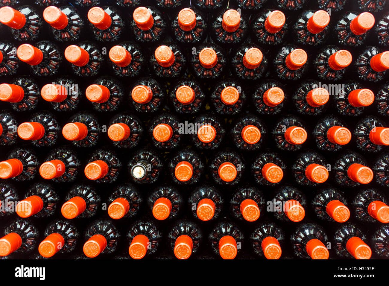 Bouteille de vin rouge, stockés dans une cave Banque D'Images