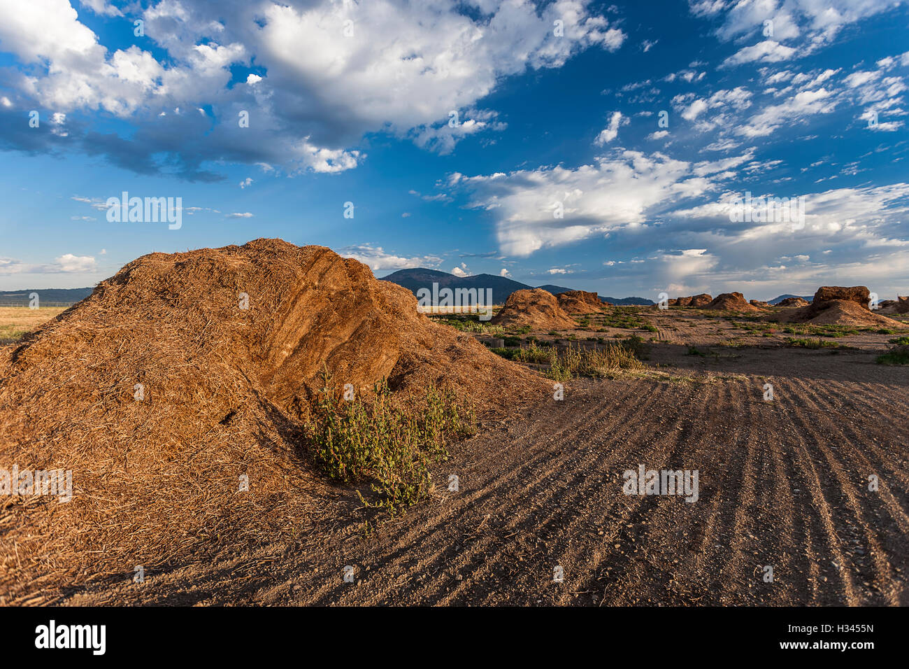 Gros tas d'engrais sur le domaine agricole près de Rathdrum, Idaho. Banque D'Images