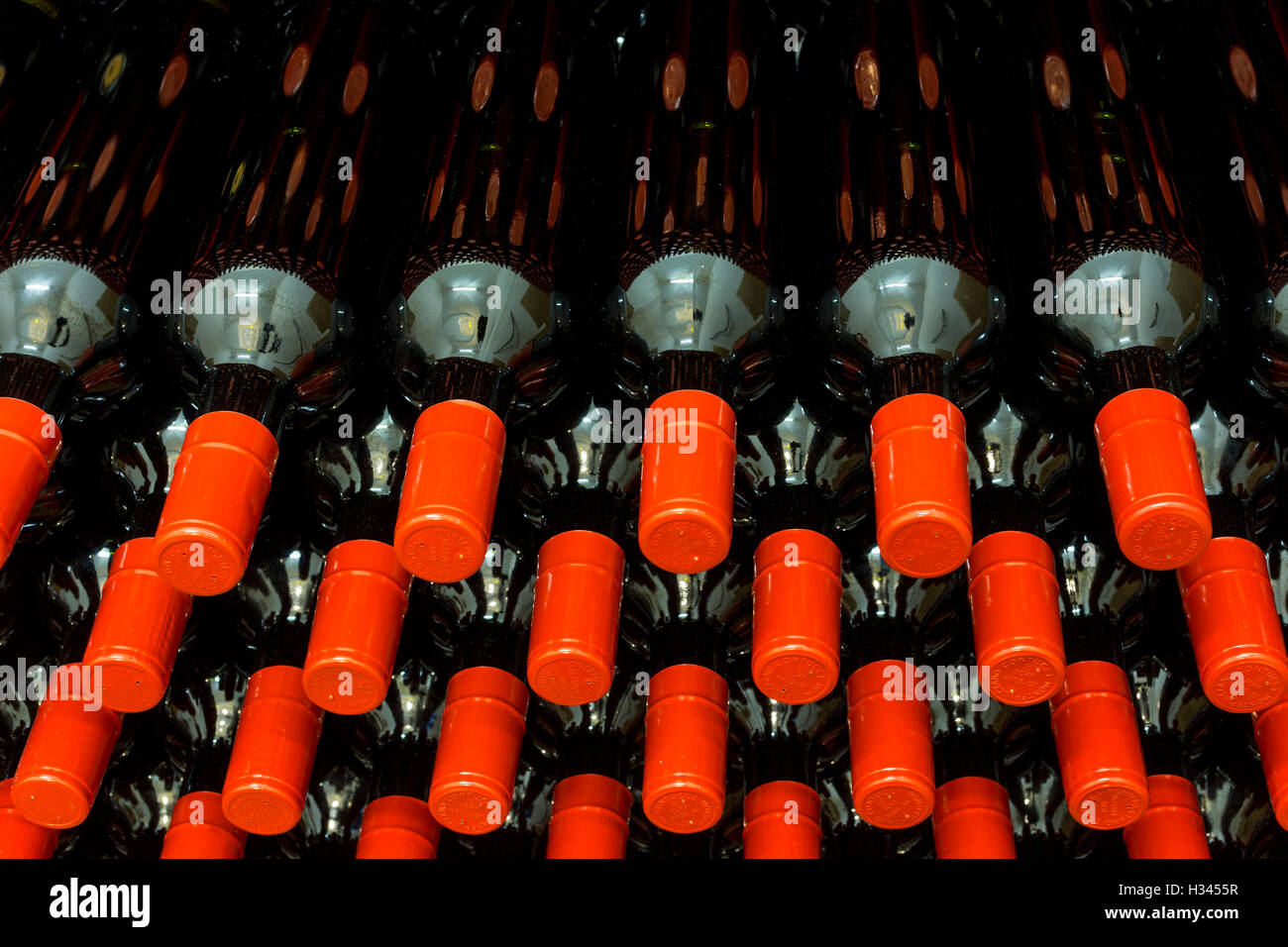 Bouteille de vin rouge, stockés dans une cave Banque D'Images