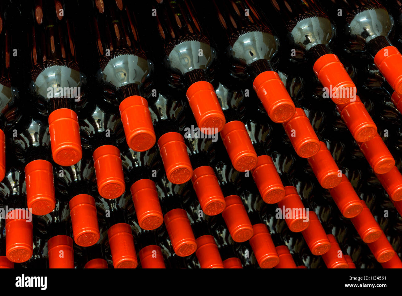 Bouteille de vin rouge, stockés dans une cave Banque D'Images