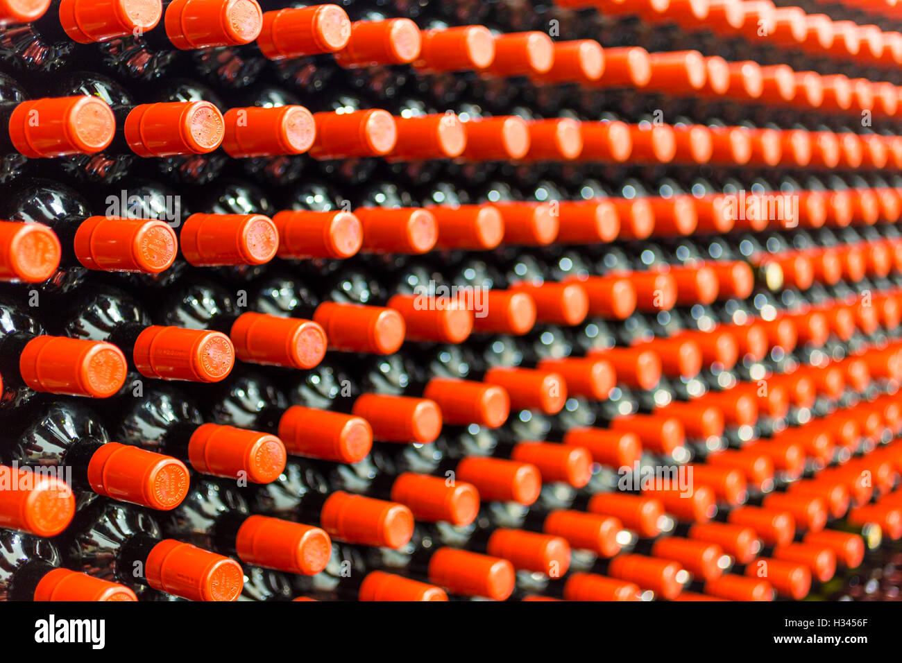 Bouteille de vin rouge, stockés dans une cave Banque D'Images