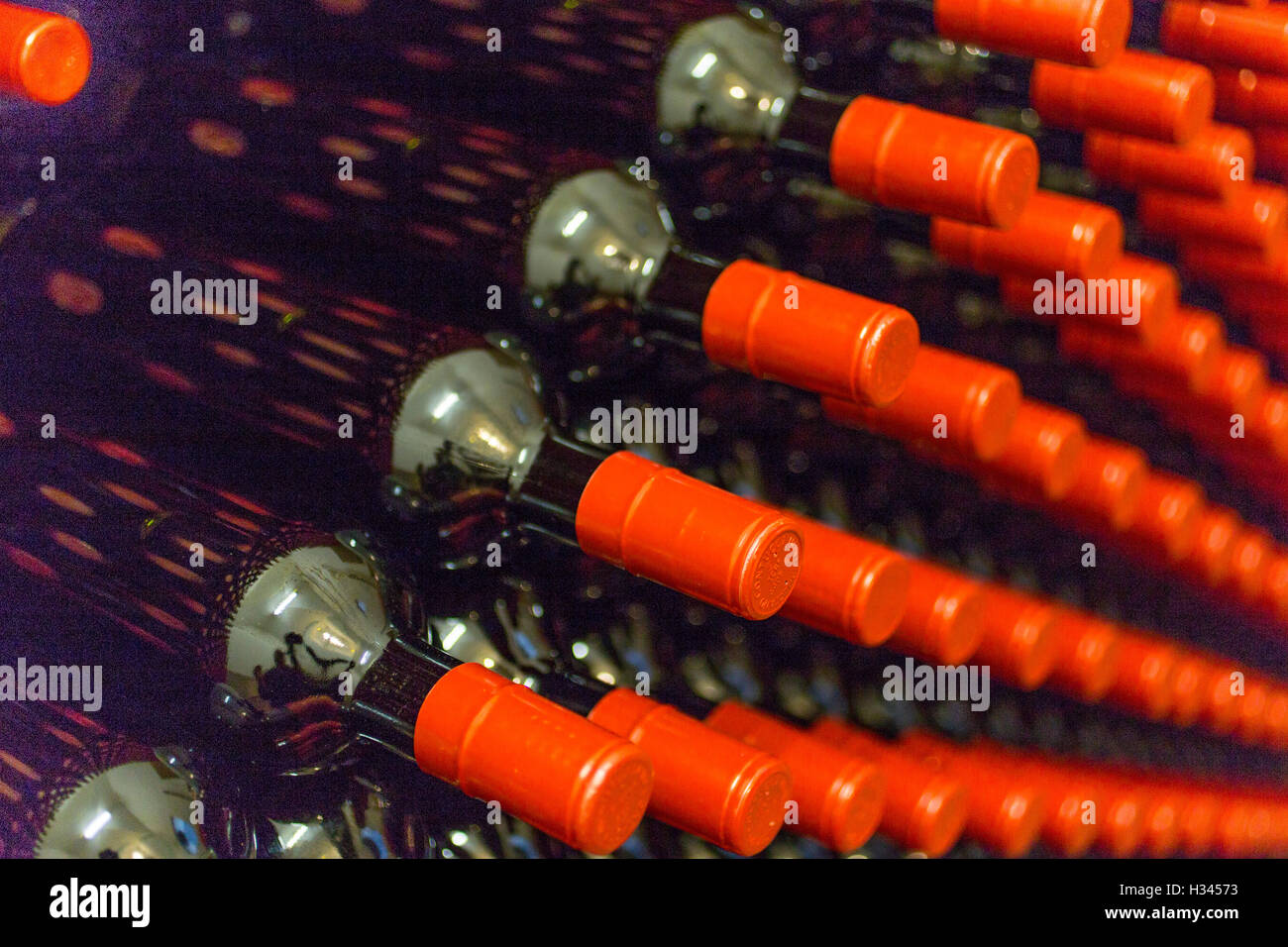 Bouteille de vin rouge, stockés dans une cave Banque D'Images
