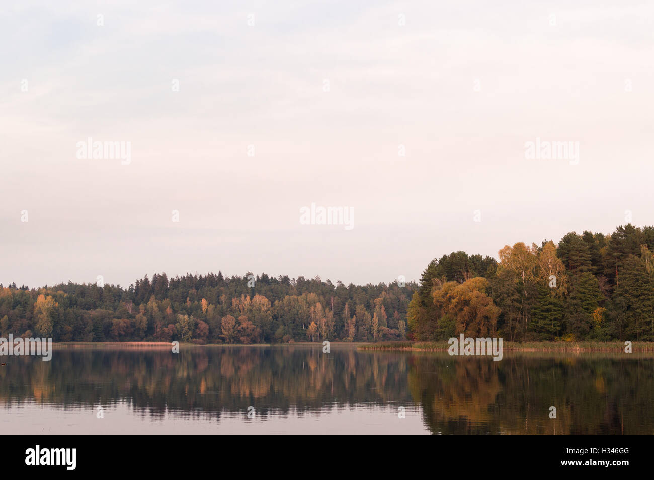 Rive du lac et loin de l'automne à temps. Couleurs fanées et eau calme ciel gris scène principale Banque D'Images