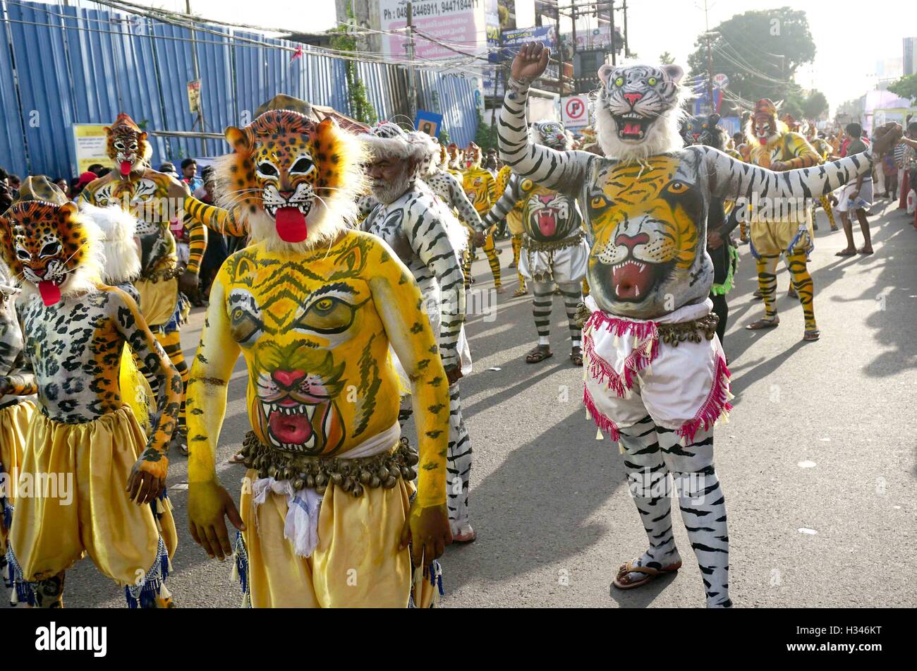 Danseurs formés avec leurs corps peints avec soin dans le couvert des tigres effectuer célèbre Pulikali rues de Thrissur Kerala Banque D'Images