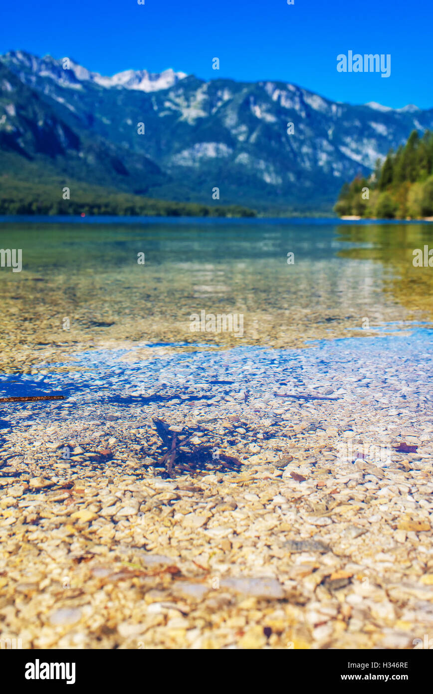 Lac de Bohinj dans le parc national de Triglav slovène avec Alpes Juliennes reflétant sur la surface Banque D'Images