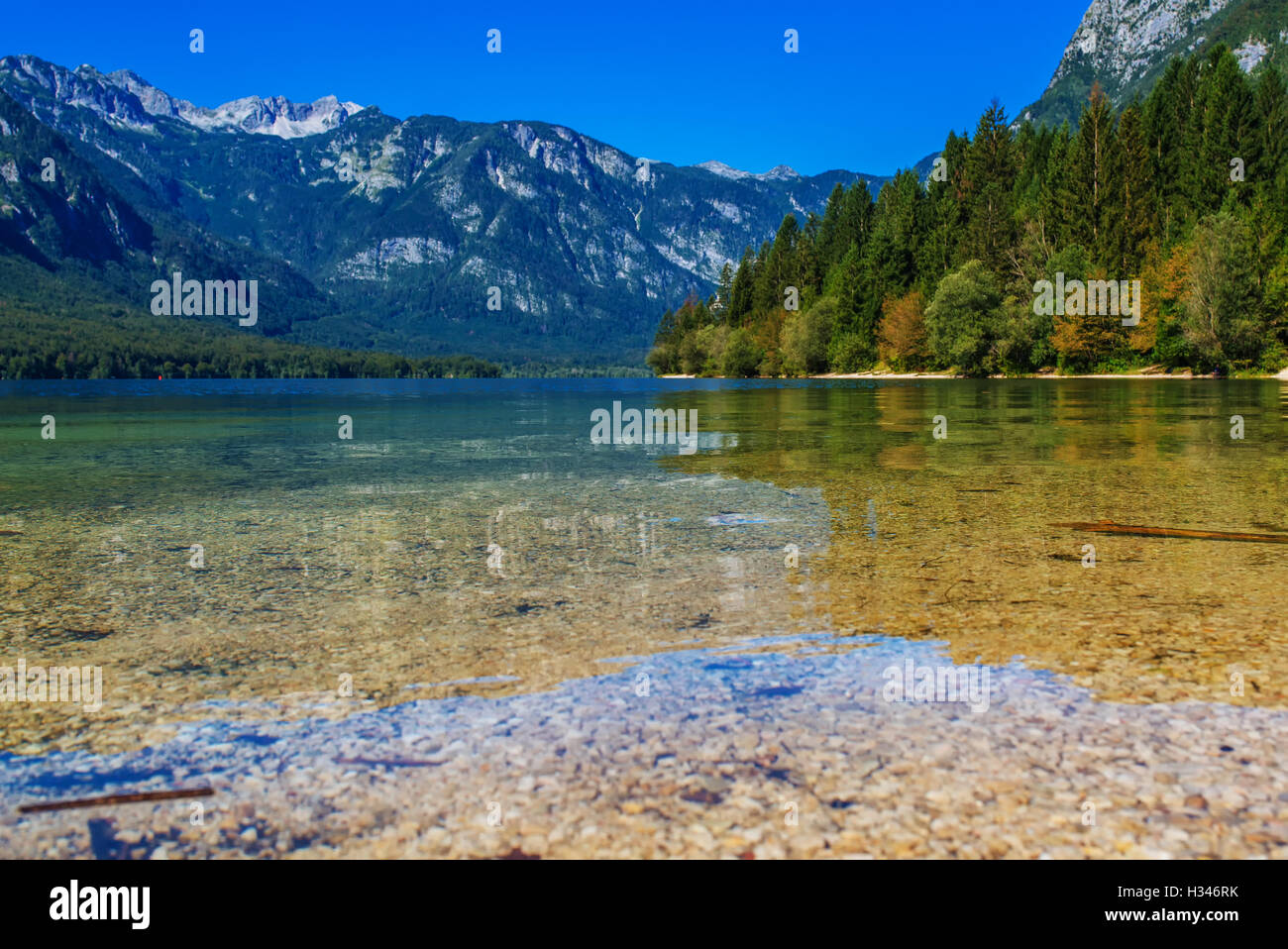 Lac de Bohinj dans le parc national de Triglav slovène avec Alpes Juliennes reflétant sur la surface Banque D'Images