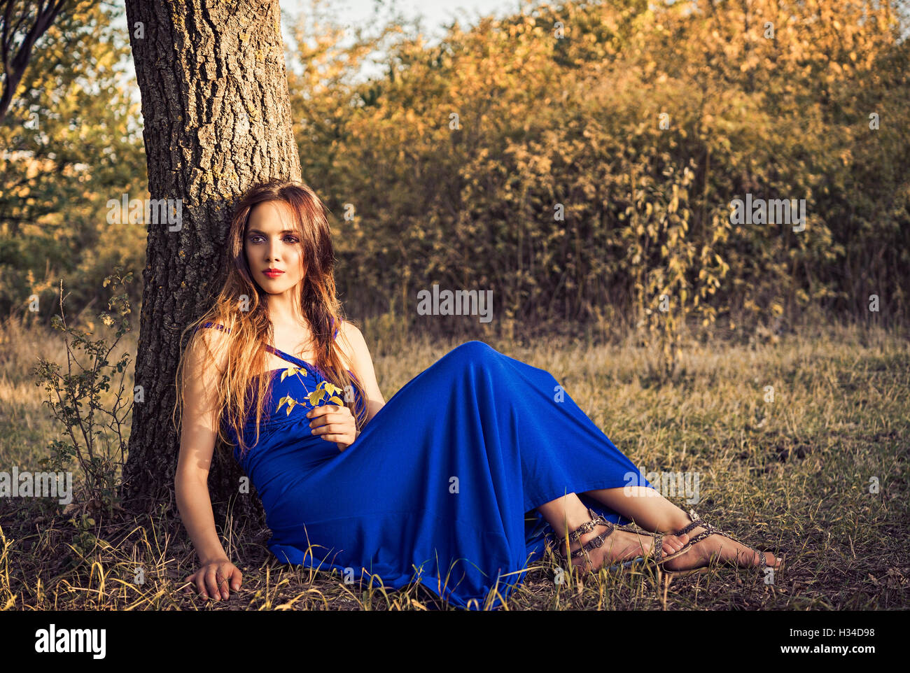 Belle jeune femme assise en vertu de l'arbre. Heure du coucher de soleil. Banque D'Images