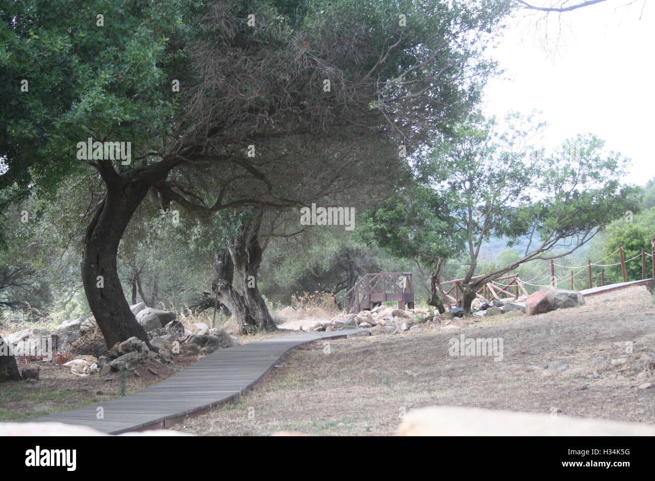 Un sentier de marche en bois du pays, le long d'une ligne d'arbres, avec des ponts et des roches, en Sardaigne, Italie Banque D'Images