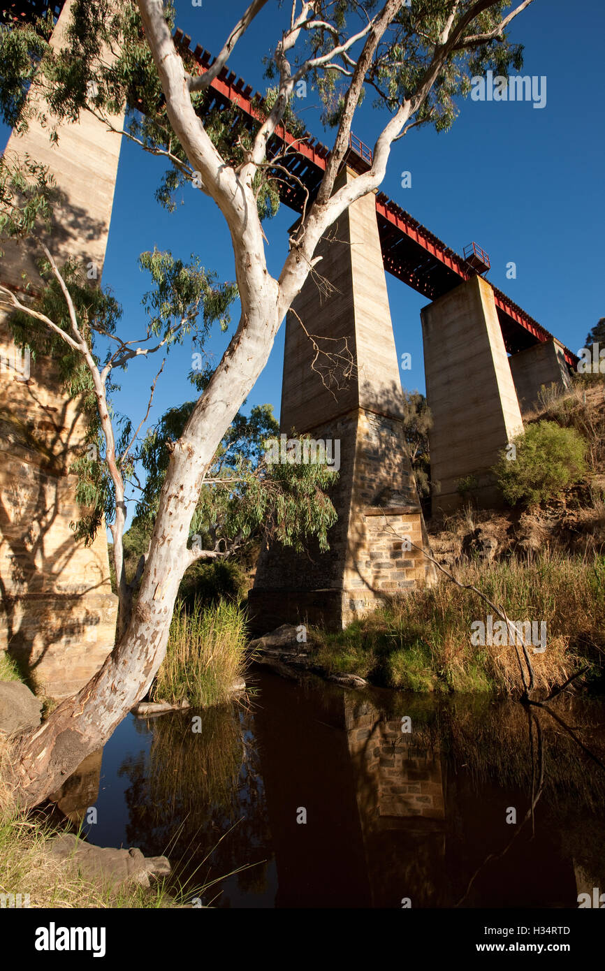Viaduc Ferroviaire de haut niveau sur Currency Creek près de Goolwa, Australie du Sud. Banque D'Images