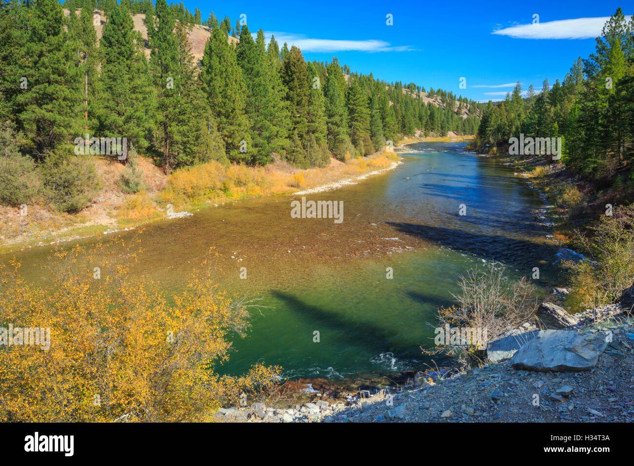 Après-midi d'automne le long de la rivière Blackfoot dans le parc près de la section johnsrud potomac, Montana Banque D'Images