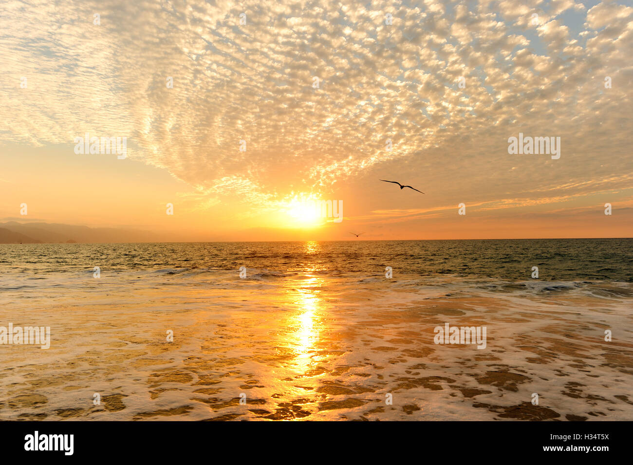 Coucher Soleil océan oiseaux est un paysage marin d'or au coucher du soleil avec deux oiseaux surissement vers le coucher de soleil sur l'horizon de l'océan. Banque D'Images