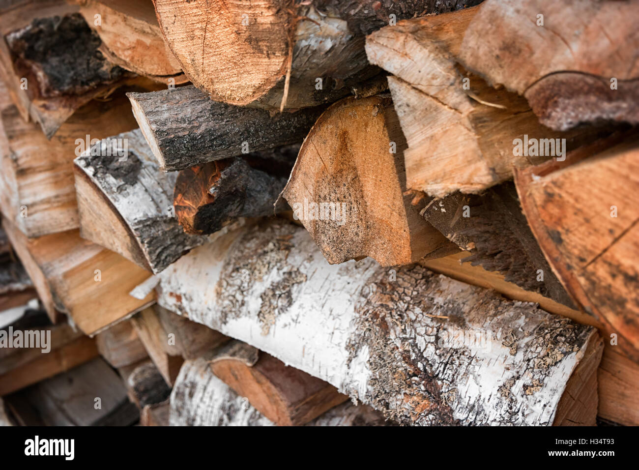 Bois de chauffage sec de bouleau, Close up shot Banque D'Images