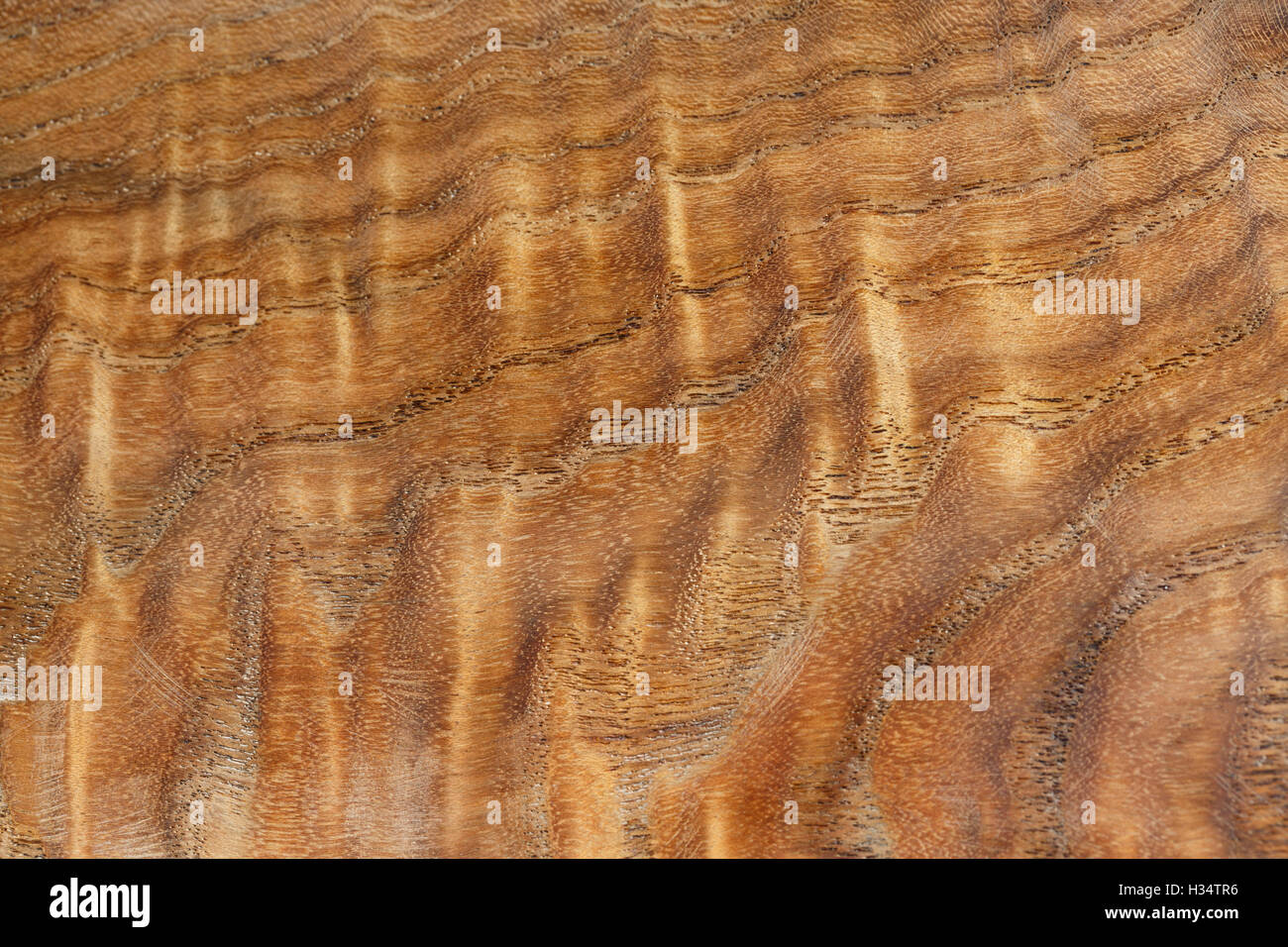 La beauté de la texture du bois précieux, bordés de nanmu or Banque D'Images