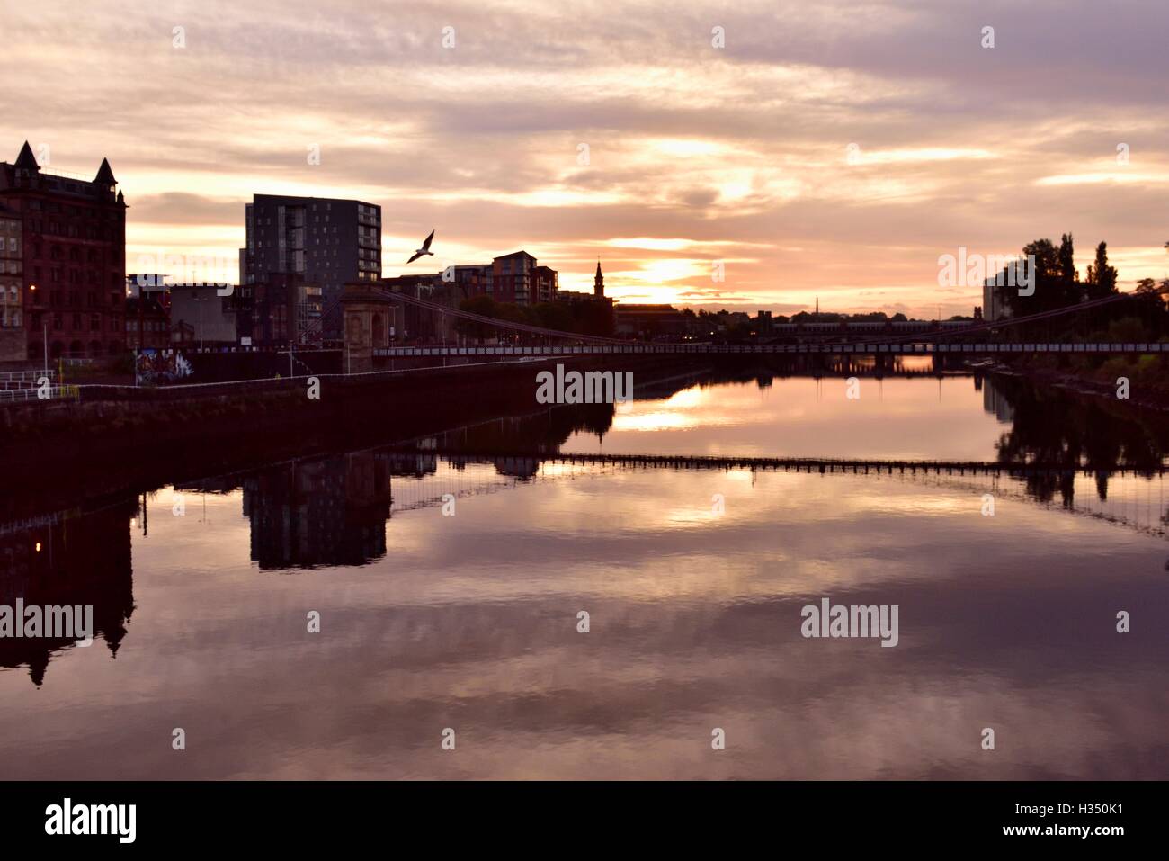 Glasgow, Ecosse, Royaume-Uni. 4 octobre, 2016. Météo britannique. Une mouette vole au-dessus de la rivière Clyde avec le Pont Suspendu de Carlton Place reflète dans la rivière. Crédit : Tony Clerkson/Alamy Live News Banque D'Images