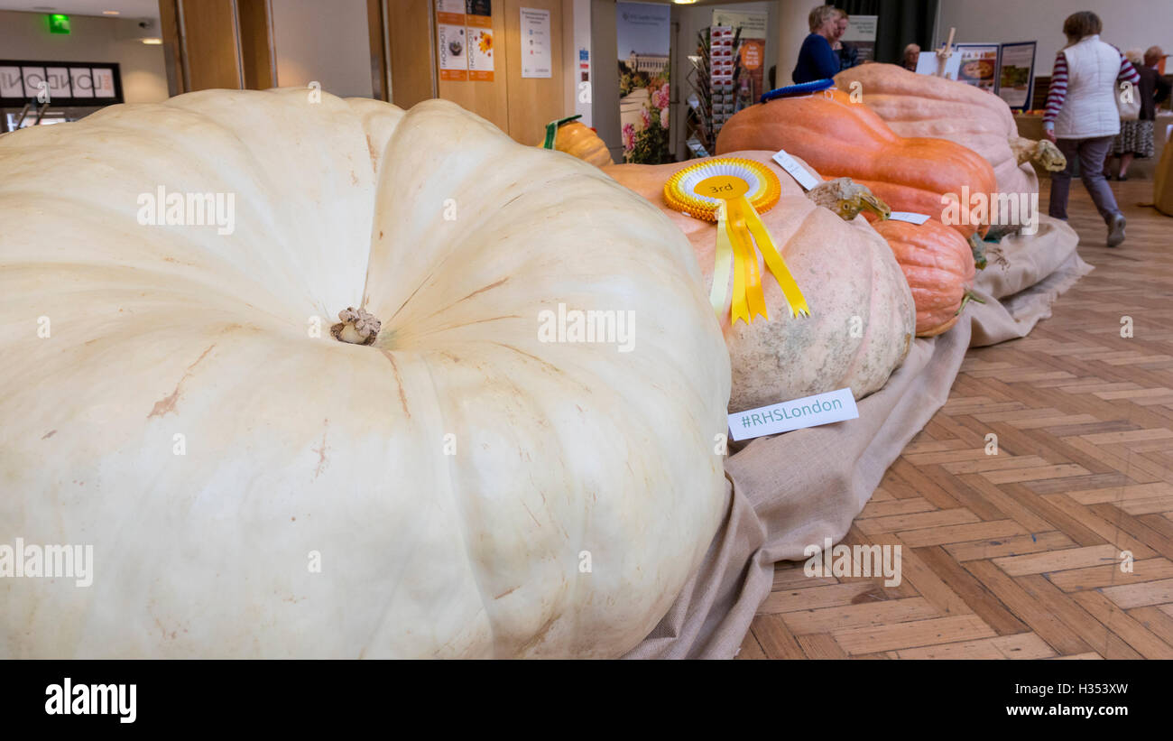 Londres, Royaume-Uni. 4 octobre 2016. Les RHS London Harvest Festival spectacle a lieu à l'hôtel de Linley, célébrant les produits de la UK's best growers et convoité premier prix attribués dans la partie droite de la concurrence des fruits et légumes. Cette année, le point culminant est le plus gros Concours de citrouille, remporté par Ben BenEliezer avec une citrouille pesant 566kg ou 12,478lbs. Crédit : Stephen Chung / Alamy Live News Banque D'Images