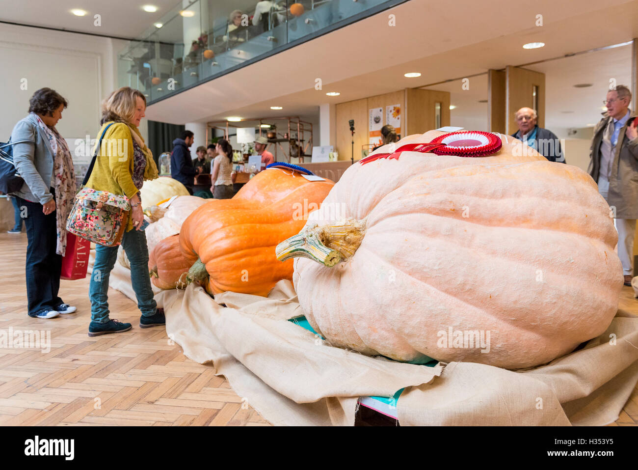 Londres, Royaume-Uni. 4 octobre 2016. Les RHS London Harvest Festival spectacle a lieu à l'hôtel de Linley, célébrant les produits de la UK's best growers et convoité premier prix attribués dans la partie droite de la concurrence des fruits et légumes. Cette année, le point culminant est le plus gros Concours de citrouille, remporté par Ben BenEliezer avec une citrouille (à droite) pesant 566kg ou 12,478lbs. Crédit : Stephen Chung / Alamy Live News Banque D'Images