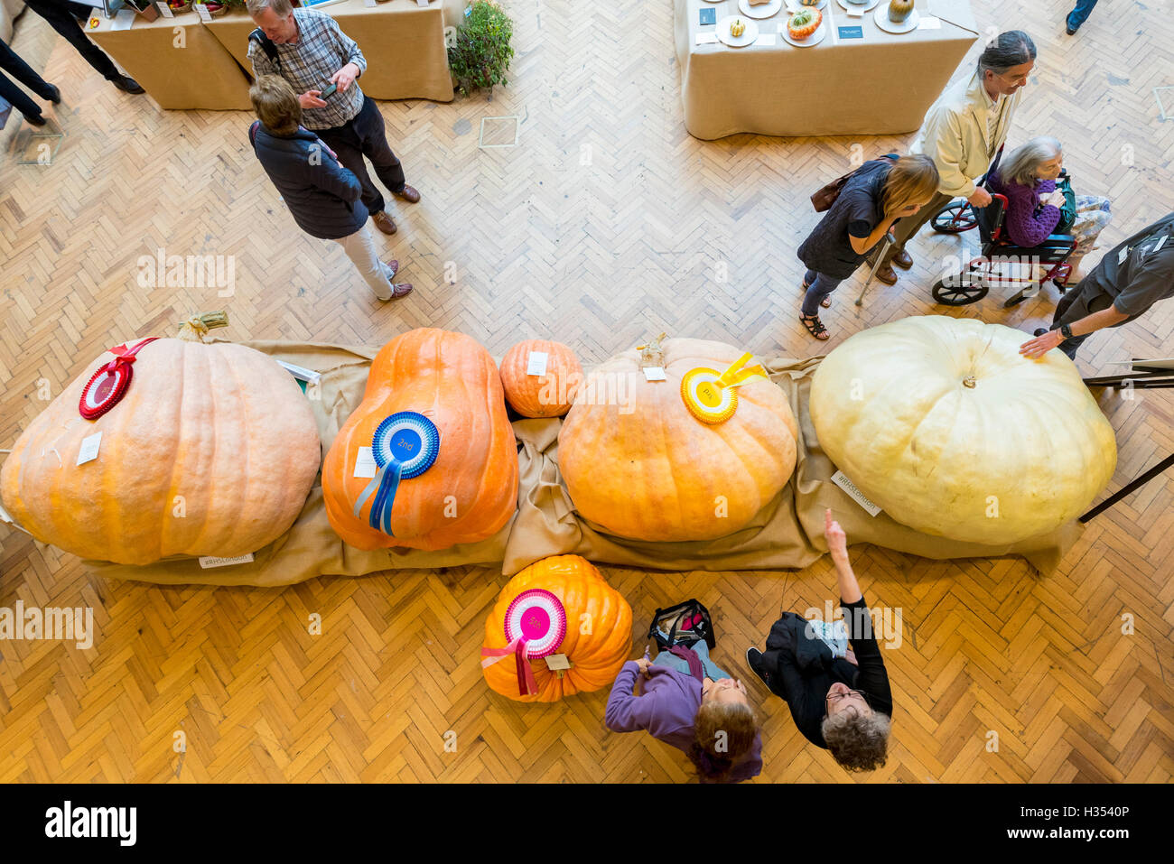 Londres, Royaume-Uni. 4 octobre 2016. Les RHS London Harvest Festival spectacle a lieu à l'hôtel de Linley, célébrant les produits de la UK's best growers et convoité premier prix attribués dans la partie droite de la concurrence des fruits et légumes. Cette année, le point culminant est le plus gros Concours de citrouille, remporté par Ben BenEliezer avec une citrouille (à gauche) pesant 566kg ou 12,478lbs. Crédit : Stephen Chung / Alamy Live News Banque D'Images
