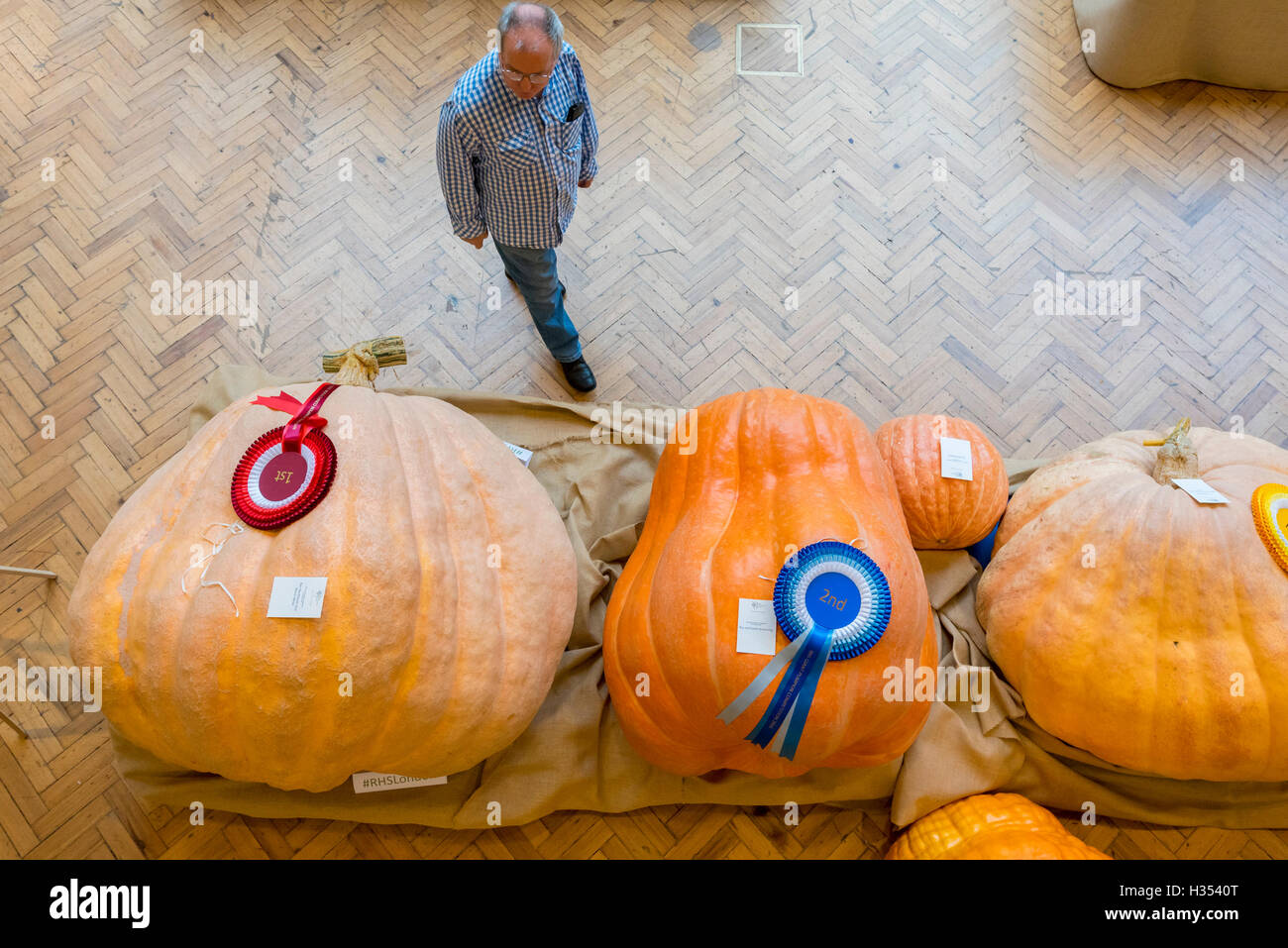 Londres, Royaume-Uni. 4 octobre 2016. Les RHS London Harvest Festival spectacle a lieu à l'hôtel de Linley, célébrant les produits de la UK's best growers et convoité premier prix attribués dans la partie droite de la concurrence des fruits et légumes. Cette année, le point culminant est le plus gros Concours de citrouille, remporté par Ben BenEliezer avec une citrouille (à gauche) pesant 566kg ou 12,478lbs. Crédit : Stephen Chung / Alamy Live News Banque D'Images