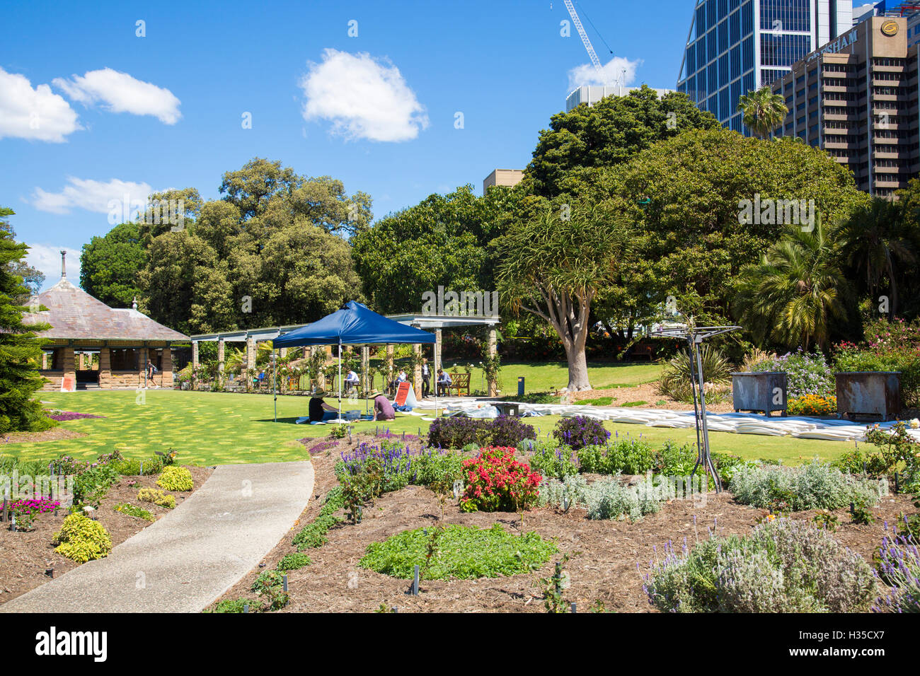 Sydney Royal Botanic Gardens et Deutsche Bank Tower de gratte-ciel dans le CBD de Sydney,Australie, Banque D'Images