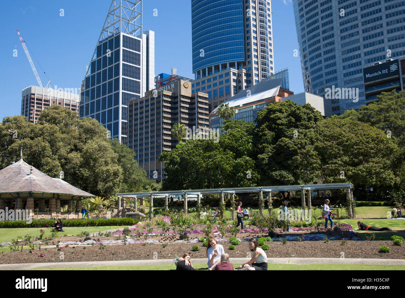 Jardins botaniques de Sydney park et des tours à bureaux, de gratte-ciel dans le CBD de Sydney,Australie, Banque D'Images