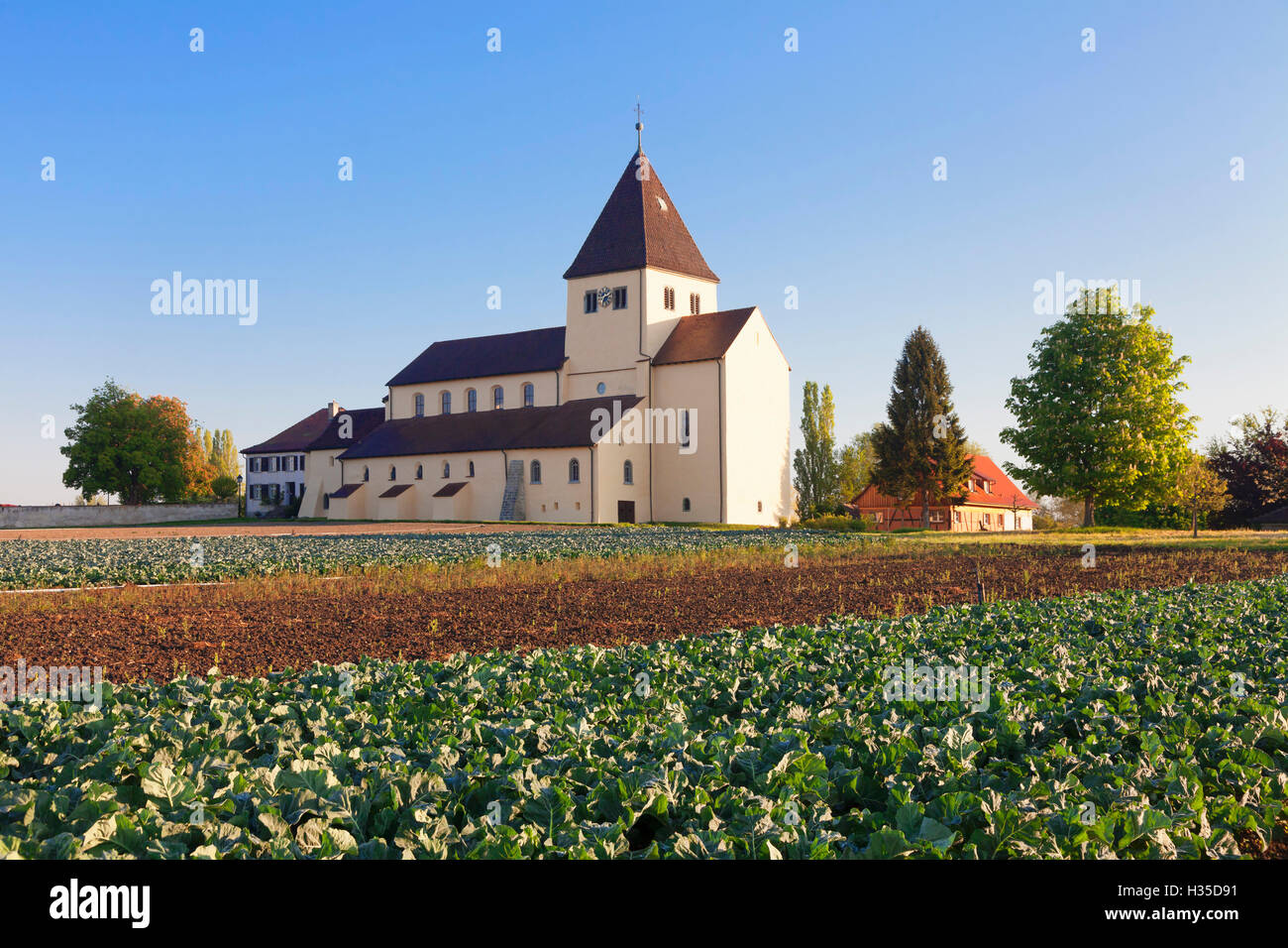 Église Saint-george, Oberzell, l'UNESCO, l'île de Reichenau, Lac de Constance, Baden-Wurttemberg, Allemagne Banque D'Images