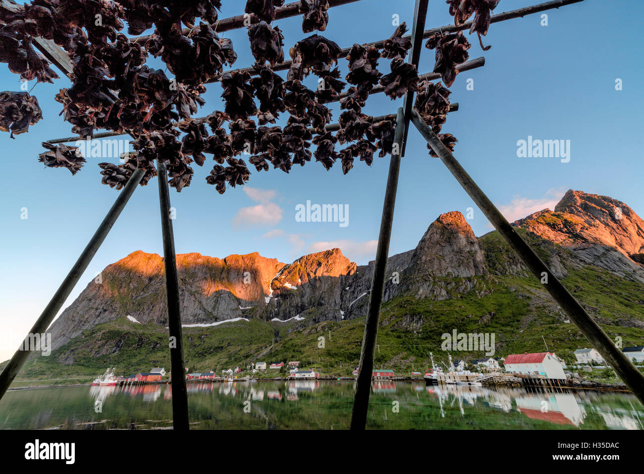 Soleil de minuit sur le poisson sec encadré par village de pêcheurs et les pics, Reine, comté de Nordland, îles Lofoten, Norvège, de l'Arctique Banque D'Images