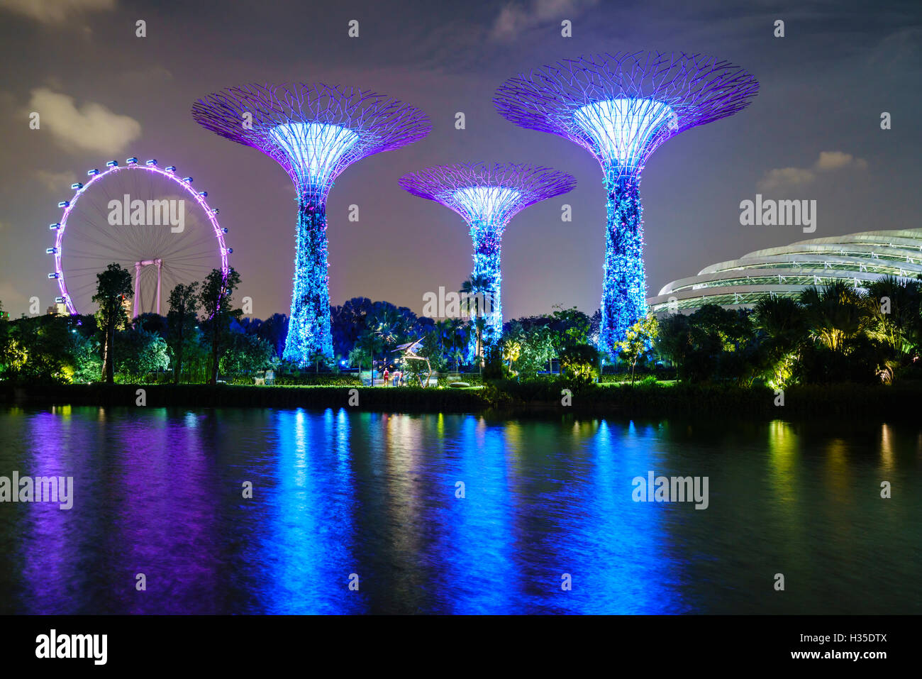 Supertree Grove dans les jardins, près de la baie, un jardin botanique et parc futuriste, illuminé la nuit, Marina Bay, Singapour Banque D'Images