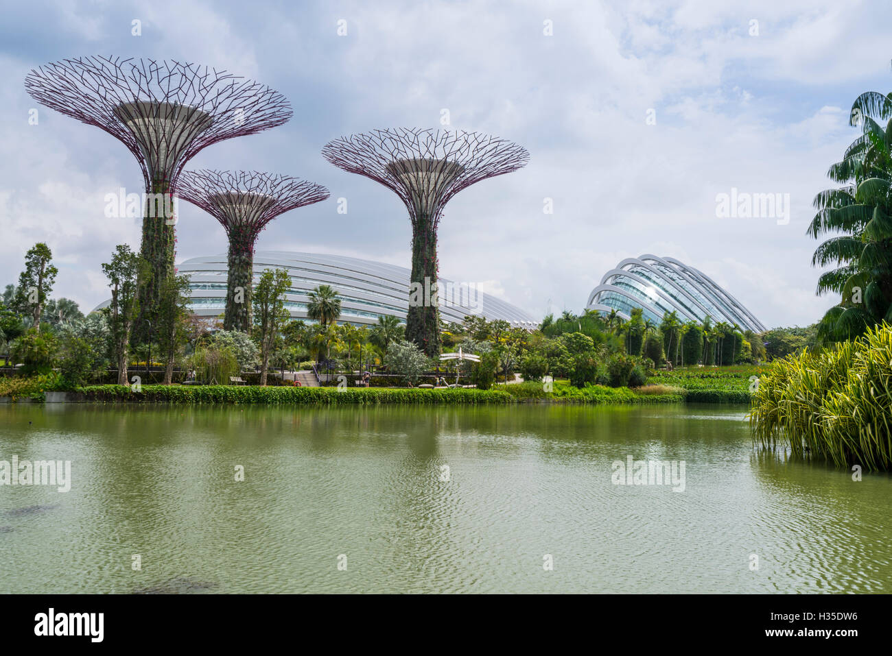 Supertree Grove dans les jardins, près de la baie, un futuriste botanical gardens et parc, Marina Bay, Singapour Banque D'Images