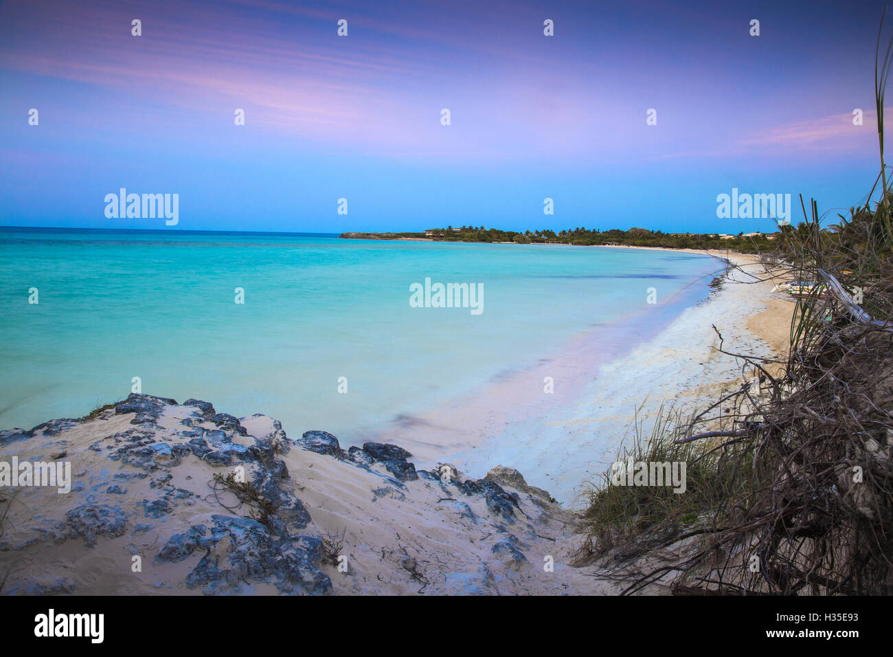 Avis de Playa Larga au coucher du soleil, Cayo Coco, Jardines del Rey, province de Ciego de Avila, Cuba, Antilles, Caraïbes Banque D'Images